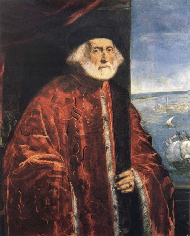 Jacopo Tintoretto Portrait of a Venetian Procurator china oil painting image